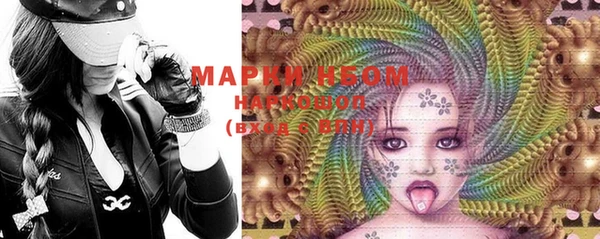 PSILOCYBIN Калининец