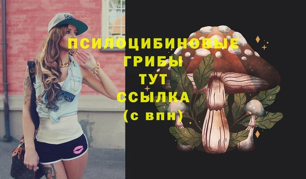 PSILOCYBIN Калининец