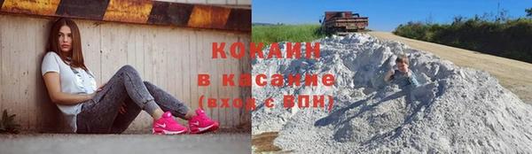 таблы Осинники